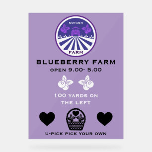 Promotion U-Pick Blueberry Farm
