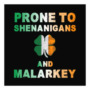 Prone To Shenanigans And Malarkey St Patricks Day Photo Print