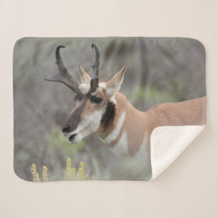 Pronghorn Antelope Buck   Grand Tetons Sherpa Blanket