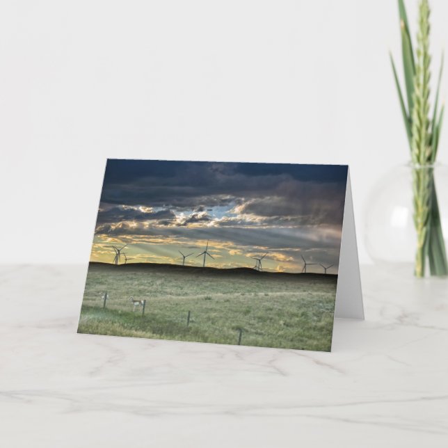 Pronghorn Antelope with Windmills at Sunset Card (Front)
