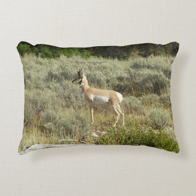 Pronghorn at Grand Teton National Park Accent Pillow (Front)