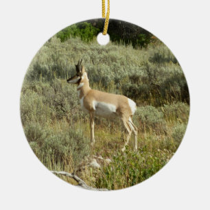Pronghorn at Grand Teton National Park Ceramic Ornament