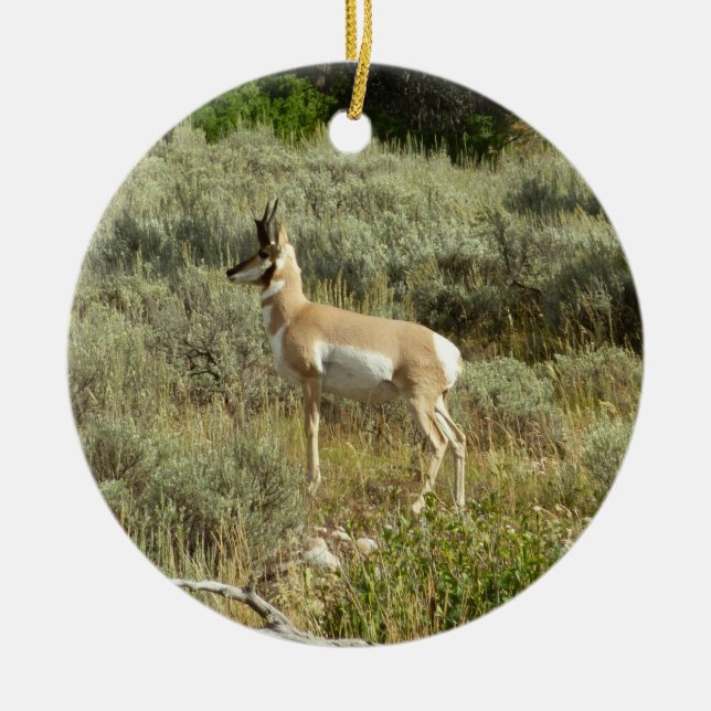 Pronghorn at Grand Teton National Park Ceramic Ornament (Front)