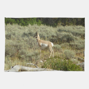 Pronghorn at Grand Teton National Park Kitchen Towel