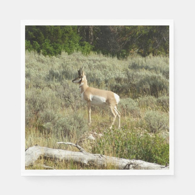 Pronghorn at Grand Teton National Park Napkin (Front)