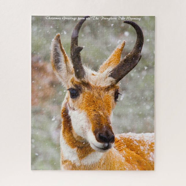 Pronghorn Deer Wyoming. Christmas Greetings Jigsaw Puzzle (Vertical)