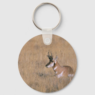 Pronghorn Keychain
