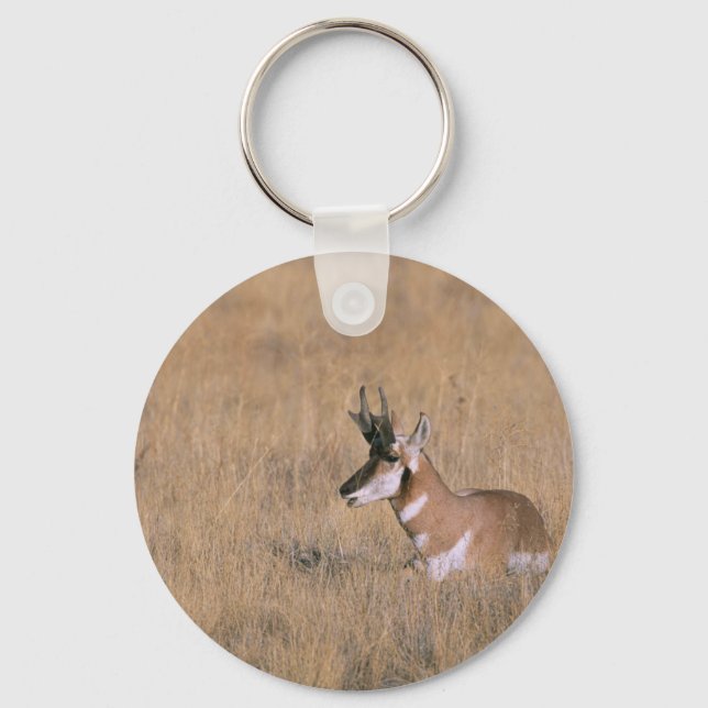 Pronghorn Keychain (Front)
