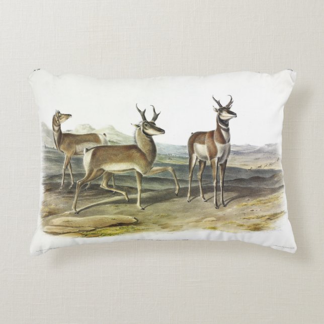 Pronghorn (Prong-horned Antelope) by Audubon Accent Pillow (Front)
