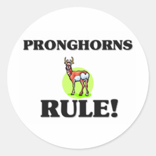 PRONGHORNS Rule! Classic Round Sticker