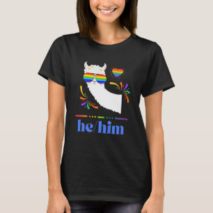 Pronouns He Him Gay Pride Rainbow Groovy Lllama Re T-Shirt