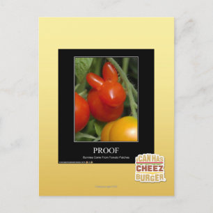 Proof Postcard