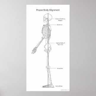 Proper Body Alignment Poster