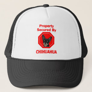 Property Secured by Chihuahua Trucker Hat