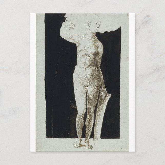 Proportion Study of Human Figure by Durer Postcard (Front)