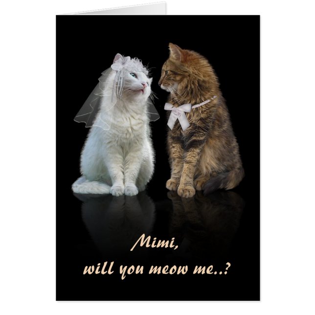 Proposal for Cat Lovers (Front)