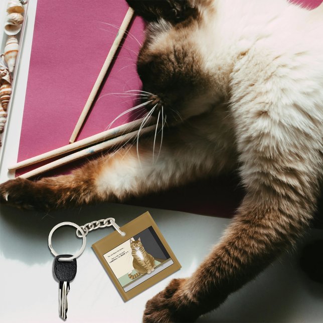 Propriétaire chat orange tabby drôle (Créateur téléchargé)