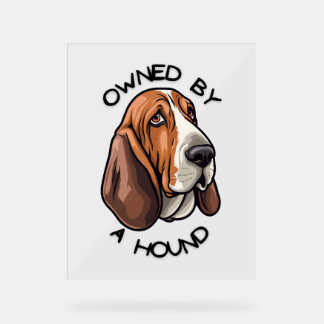 Propriété de quelqu'un Basset Hound