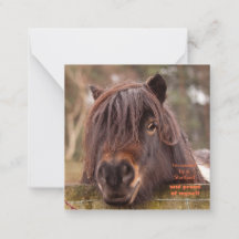 Propriété d'une carte de billet Shetland