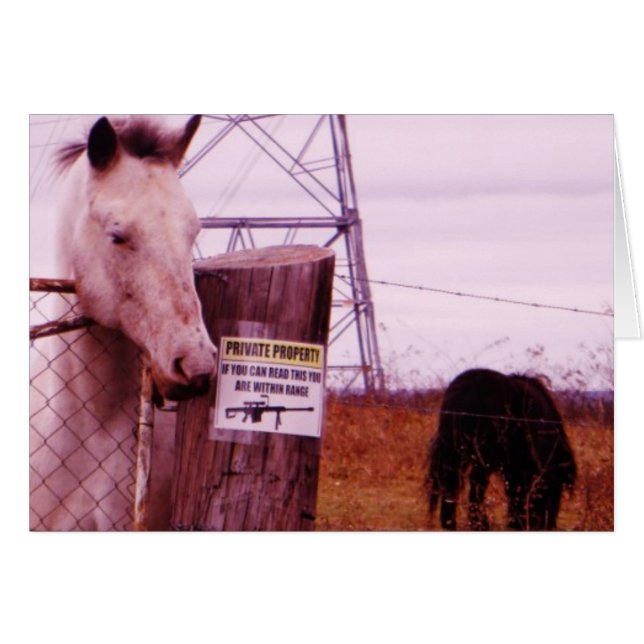 Propriété privée lavender Horse (Devant horizontal)