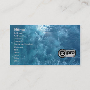 ProSeller Silver 2 Fine Art Business Card 3D