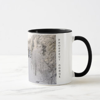 Prospect Gorge in Winter Mug
