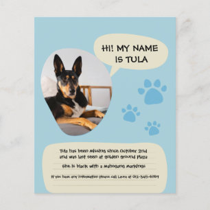Prospectus 11,4 Cm X 14,2 Cm Affiche photo moderne bleu Chien manquant 