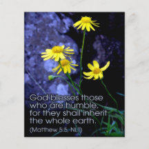 Bienheureux sont les Meek