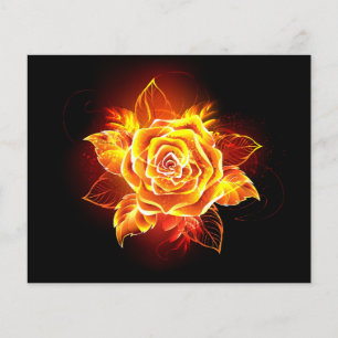 Prospectus 11,4 Cm X 14,2 Cm Blooming Fire Rose