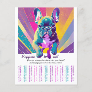 Prospectus 11,4 Cm X 14,2 Cm Bouledogue français dans votre maison