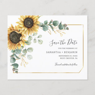 Prospectus 11,4 Cm X 14,2 Cm Budget Tournesol Eucalyptus Vert Économisez La Dat