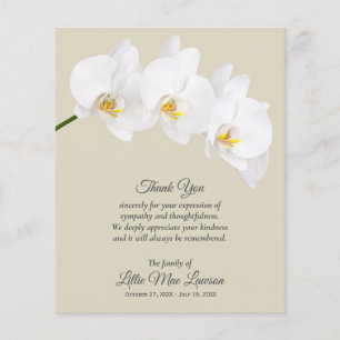 Prospectus 11,4 Cm X 14,2 Cm Budget White Orchid Funeral Merci