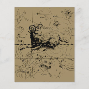 Prospectus 11,4 Cm X 14,2 Cm Carte de la constellation du Bélier Hevelius vers