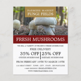 Prospectus 11,4 Cm X 14,2 Cm Champignons sauvages, Champignons fermiers Publici