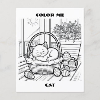 Prospectus 11,4 Cm X 14,2 Cm Chat Dans Le Panier Couleur Me Coloration Pages Pe