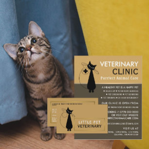 Prospectus 11,4 Cm X 14,2 Cm Chat noir, Vétérinaire, Service vétérinaire