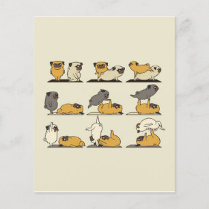 Prospectus 11,4 Cm X 14,2 Cm Chien-taureaux français Pots de Yoga   Amateurs de