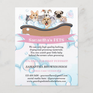 Prospectus 11,4 Cm X 14,2 Cm Chiens Cutest Chats Spa Sitter Groom Services de s
