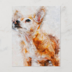 Prospectus 11,4 Cm X 14,2 Cm Chihuahua Chien Portrait_Amoureux des chiens