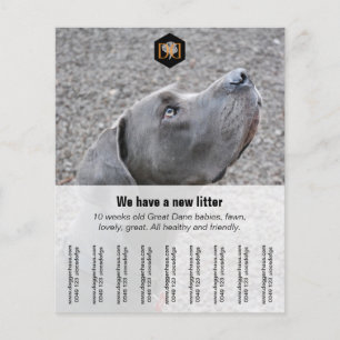 Prospectus 11,4 Cm X 14,2 Cm Circulaire "Vendeur"