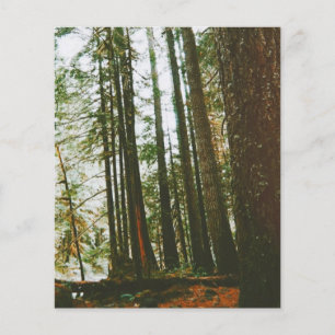 Prospectus 11,4 Cm X 14,2 Cm Coque de spectre