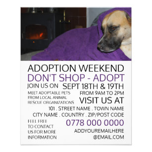 Prospectus 11,4 Cm X 14,2 Cm Cosy Dog, Pet Adoption Event Advertising