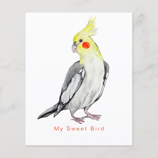 Prospectus 11,4 Cm X 14,2 Cm Cute Cockatiel Aquarelle Parrot. (Devant)