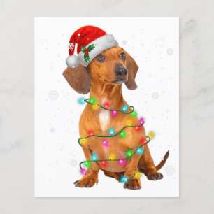 Prospectus 11,4 Cm X 14,2 Cm Dachshund Dogs Tree Christmas Sweater Xmas Toxits 