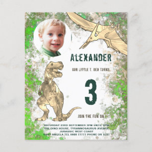 Prospectus 11,4 Cm X 14,2 Cm Dinosaur Anniversaire de la fête Photo Budget