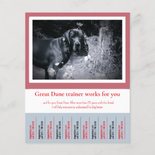 Prospectus 11,4 Cm X 14,2 Cm Dresseur de Dogues Allemands Flyer