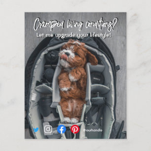 Prospectus 11,4 Cm X 14,2 Cm drôle carte postale de l'immobilier crampé chien v