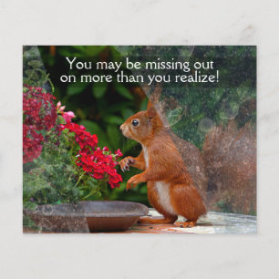 Prospectus 11,4 Cm X 14,2 Cm ENTREPRISE DE NETTOYAGE DE FENÊTRES 4x5 PROMO pers