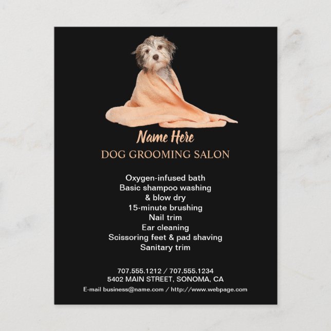 Prospectus 11,4 Cm X 14,2 Cm Entreprise de toilettage de chiens flyer personnal (Devant)