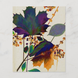 Prospectus 11,4 Cm X 14,2 Cm Feuilles d'automne aux couleurs royales